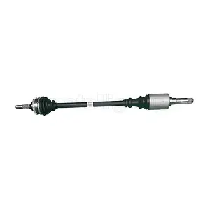 655-495 CIFAM
