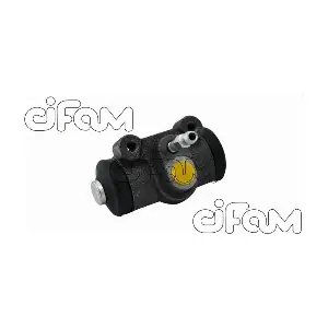 CIFAM 101310