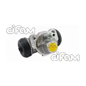 CIFAM 101-487