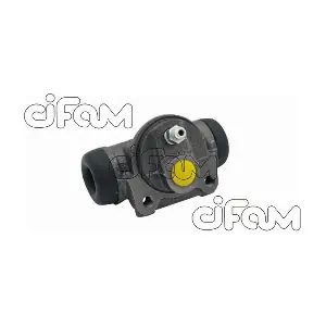 CIFAM 101646