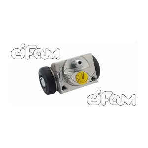101-829 CIFAM