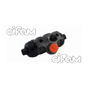 CIFAM 101769
