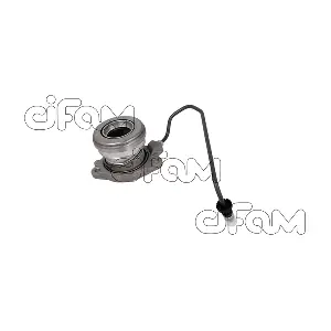 CIFAM 506013