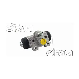 CIFAM 101796