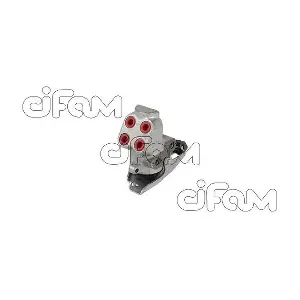 CIFAM 303-033