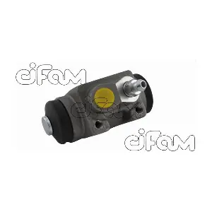 101907 CIFAM
