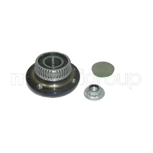 CIFAM 619-2465