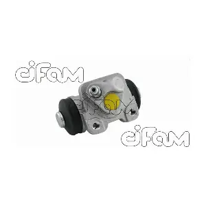 CIFAM 101913