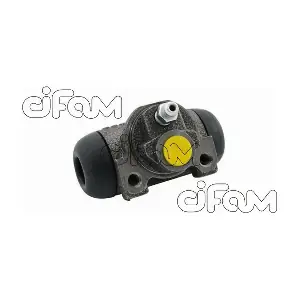 101-500 CIFAM