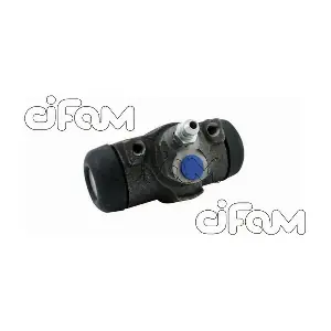 101096 CIFAM