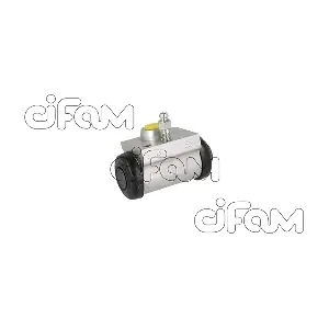 CIFAM 101-1147