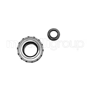 619-2947 CIFAM