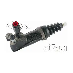 CIFAM 404081