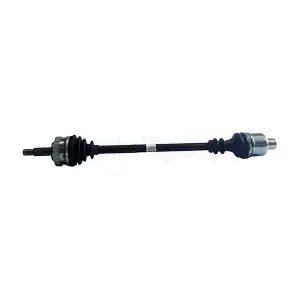 655-919 CIFAM