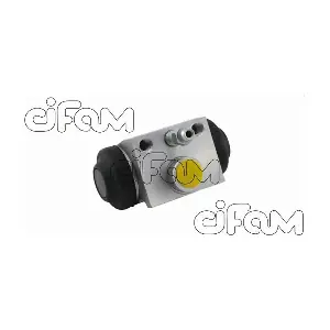 CIFAM 101742