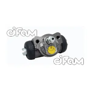 101-1003 CIFAM