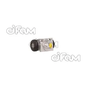 CIFAM 101-1078
