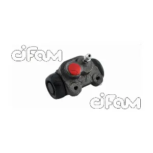 CIFAM 101809