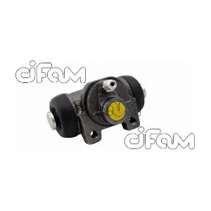 101-700 CIFAM