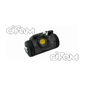 101-424 CIFAM