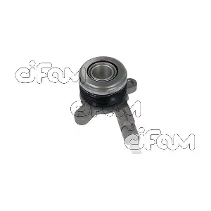 CIFAM 506064