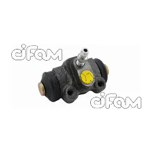 101089 CIFAM