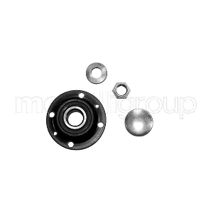CIFAM 619-2974