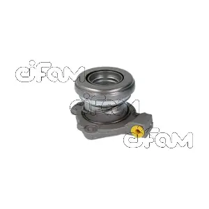 CIFAM 506-010