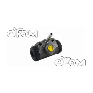 CIFAM 101756