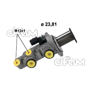 CIFAM 2021250