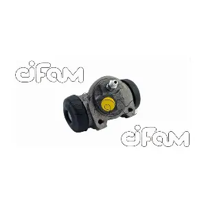 101-172 CIFAM