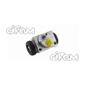 CIFAM 101-893