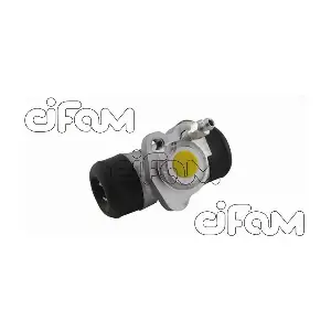 101-895 CIFAM