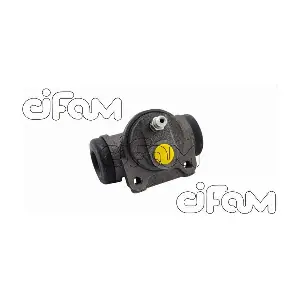 101-747 CIFAM