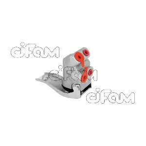 CIFAM 303-046