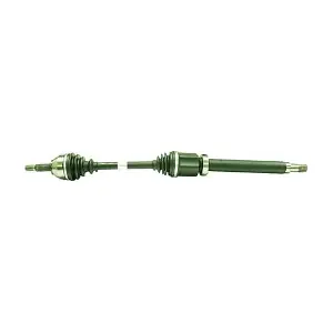 655-841 CIFAM