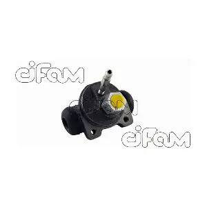 101-420 CIFAM