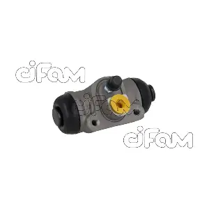 CIFAM 101-1113