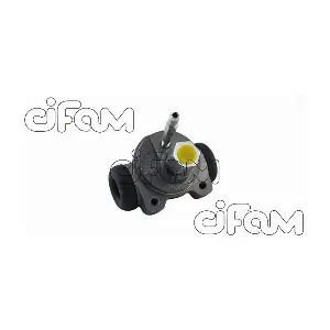 CIFAM 101-748