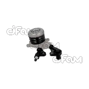 506038 CIFAM