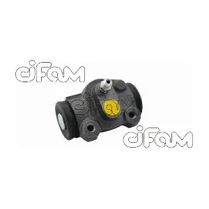 CIFAM 101-691