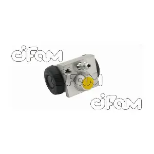 CIFAM 101875