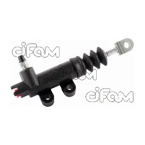 404-101 CIFAM