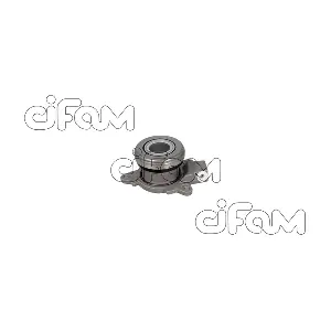 CIFAM 506029