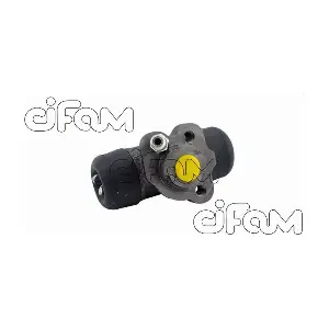CIFAM 101268