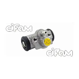 CIFAM 101389