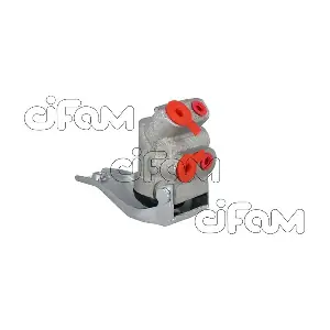 303-039 CIFAM