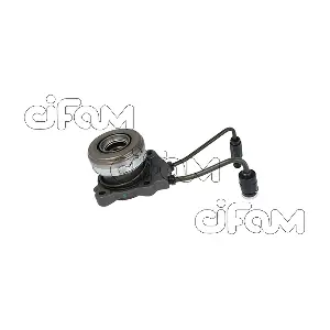 CIFAM 506-079