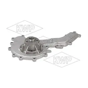 KWP 101353