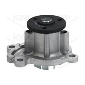 KWP 101065